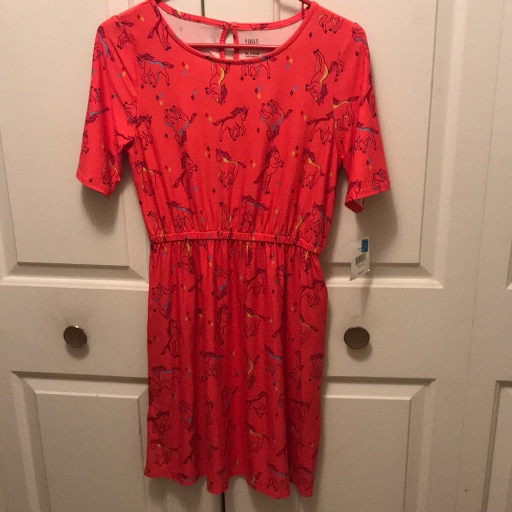 Falls Creek plush dress XL (14/16) never worn